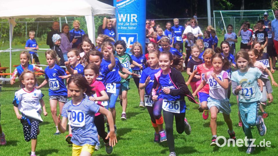 156 Kinder nahmen am 29. Kinderwaldlauf des SV Illschwang teil. Bild: no