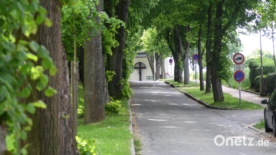 Rund 300 Meter ist der Weg durch die Felixallee hinauf zur Klosterkirche. Der Oberpfalzverein möchte hier künstlerisch gestaltete Stelen zu Problemen der Zeit aufstellen, die zur Betrachtung auffordern und zum Nachdenken anregen sollen. Bild: Gabi Schönberger
