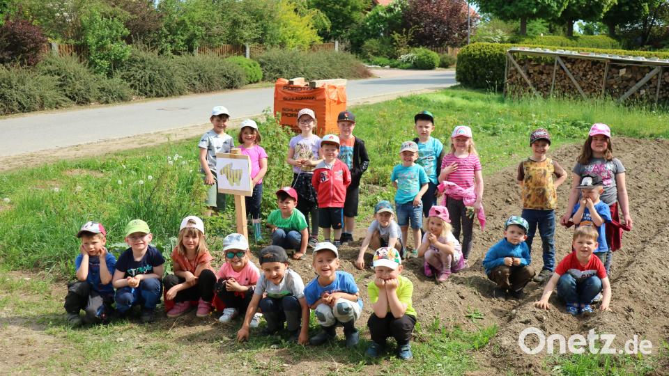 Kartoffelanbau am Kartoffelacker von Familie Siller. Bild: Kindergarten St. Rita/exb