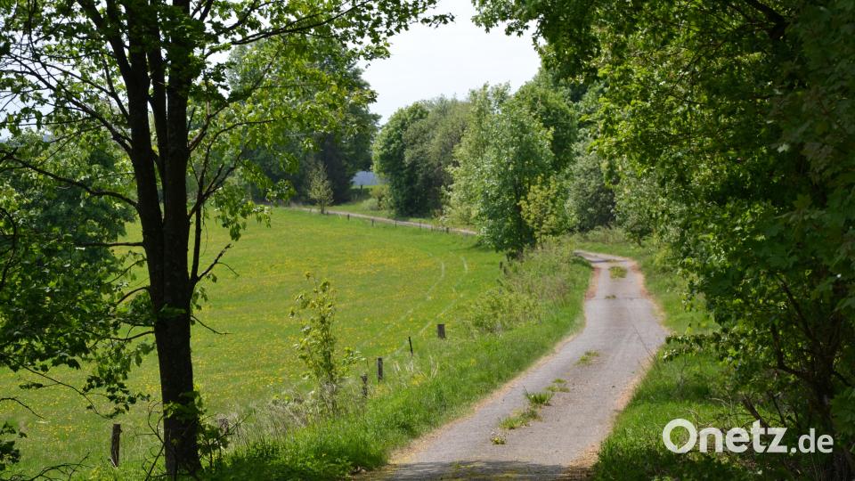 Der Blick entlang des Böttgerwanderwegs auf tschechischer Seite, ausgehend von der Böttgersäule. Bild: Jennifer Bergmann