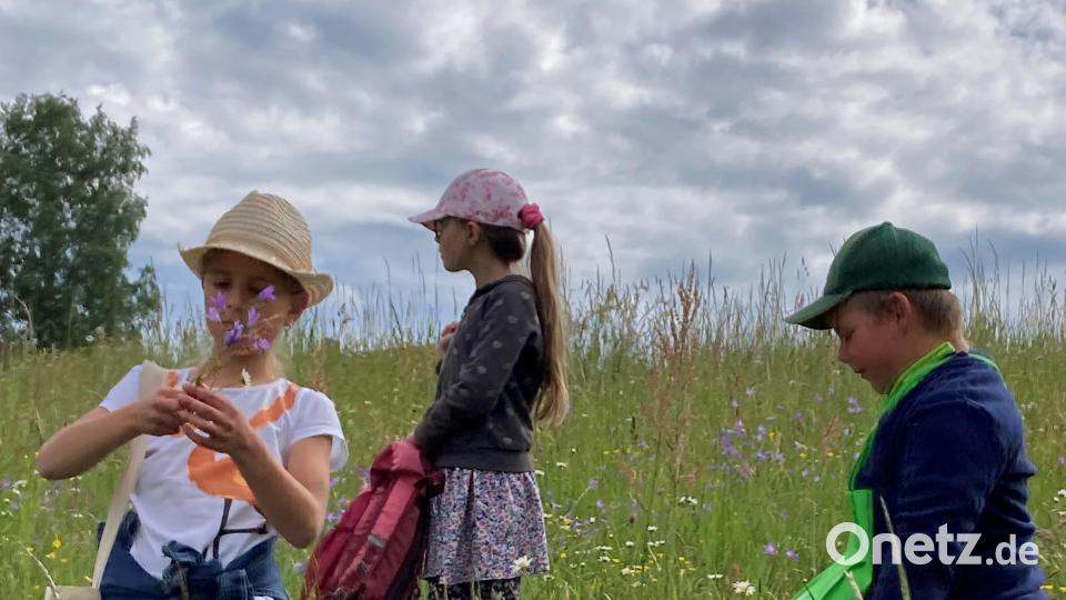 Die Kinder der ersten Klasse haben sich im Rahmen des HSU-Unterrichts intensiv mit dem Thema „Wiese“ beschäftigt. Bild: Grundschule Mähring/exb