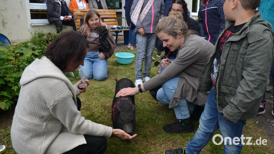 &quot;Napoleon&quot; war der große Star des Jubiläumsfestes. Nicht nur die Kinder hatten ihre helle Freude an dem kleinen schwarzen Rüsseltier. Viele Streicheleinheiten waren ihm sicher. Bild: dob