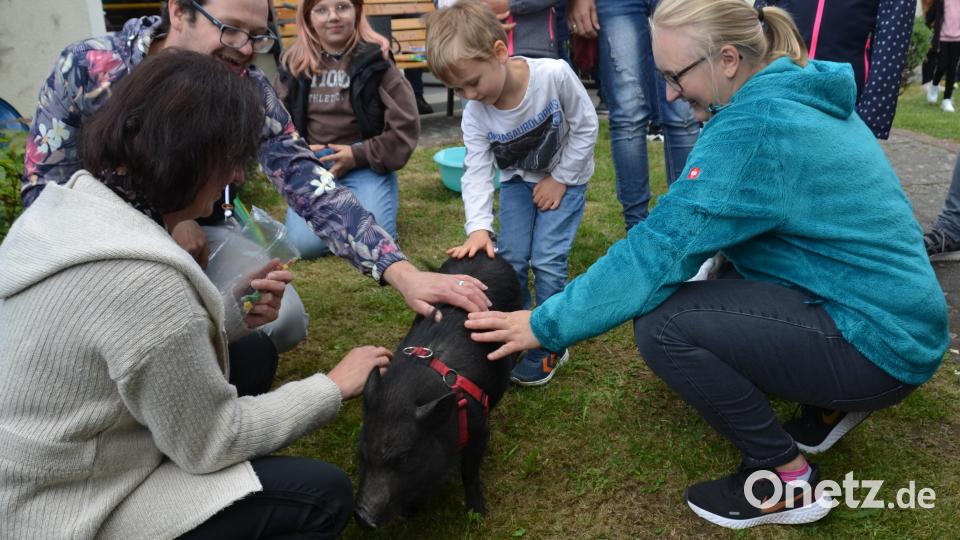 &quot;Napoleon&quot; war der große Star des Jubiläumsfestes. Nicht nur die Kinder hatten ihre helle Freude an dem kleinen schwarzen Rüsseltier. Viele Streicheleinheiten waren ihm sicher. Bild: dob