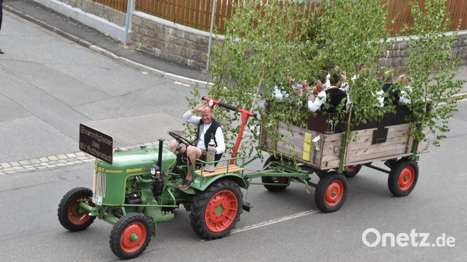 Zu Fuß, aber auch mit allerlei Fahrzeugen beteiligten sich 35 Gemeinschaften aus Rothenstadt und aus der Region am Festzug. Bild: hcz