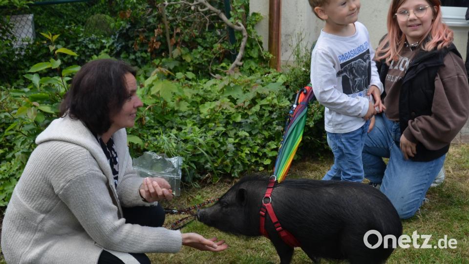 &quot;Napoleon&quot; war der große Star des Jubiläumsfestes. Nicht nur die Kinder hatten ihre helle Freude an dem kleinen schwarzen Rüsseltier. Bild: dob
