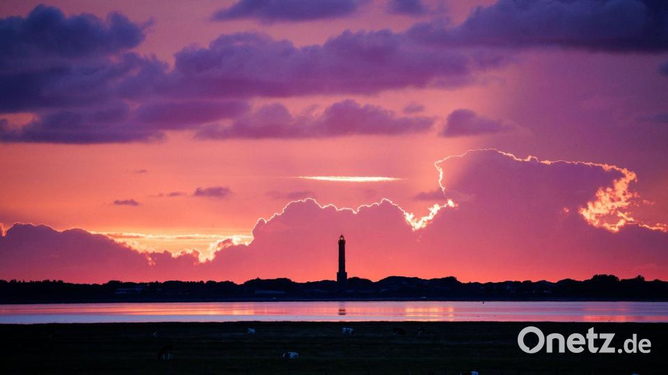 Kühe grasen vor der Kulisse eines bilderbuchwürdigen Sonnenuntergangs auf den Salzwiesen der ostfriesischen Insel Norderney. Bild: Matthias Balk/dpa