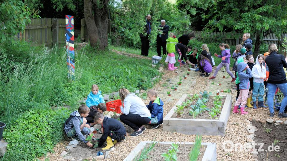 Mit großem Eifer beteiligten sich die Kinder an der Pflanzaktion im Weidenthaler Schulgarten. Bild: akp