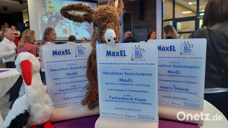Zwei Filmteams, bestehend aus sieben Schülerinnen, und eine Schülerin wurden ausgezeichnet. Bild: Irene Sebald/Lobkowitz-Realschule Neustadt