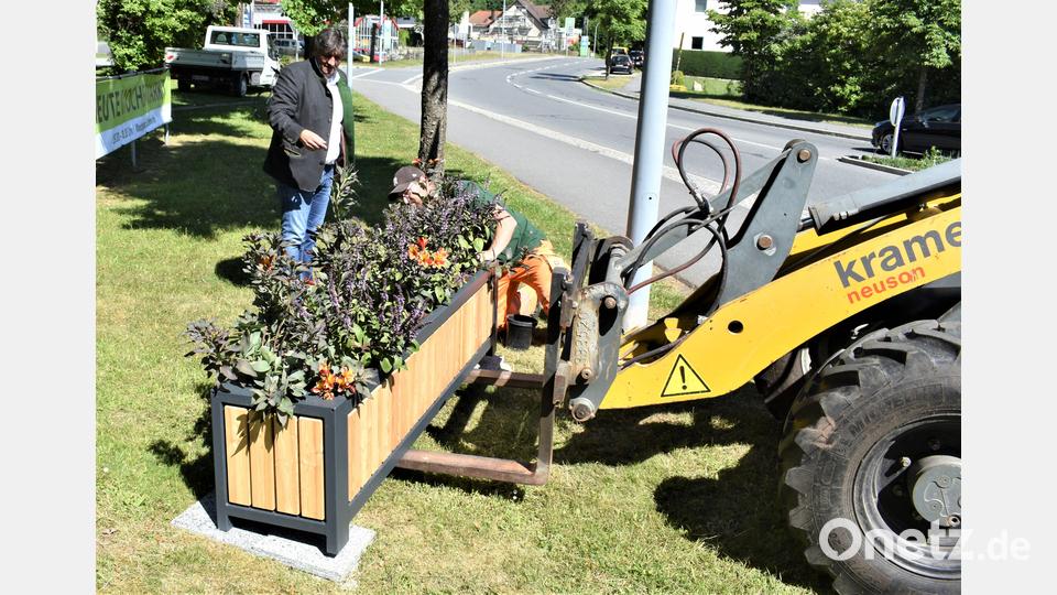 Designer-Pflanzkästen verschönern die Stadt Bild: rgr