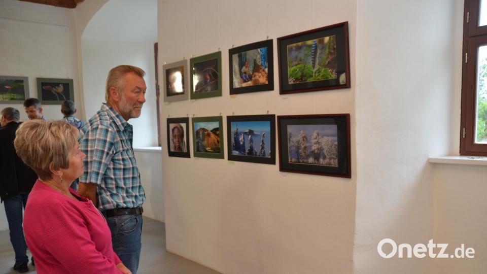 Die Besucher hatten ausreichend Gelegenheit die ausgestellten Werke in Ruhe zu inspizieren und auf sich wirken zu lassen.. Bild: dob