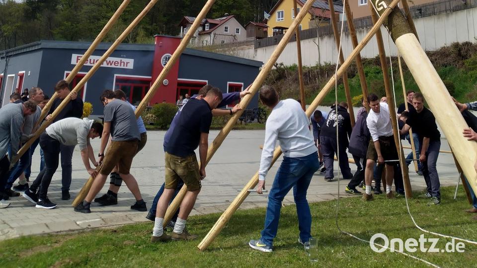 Maibaum in Tännesberg. Bild: rfi