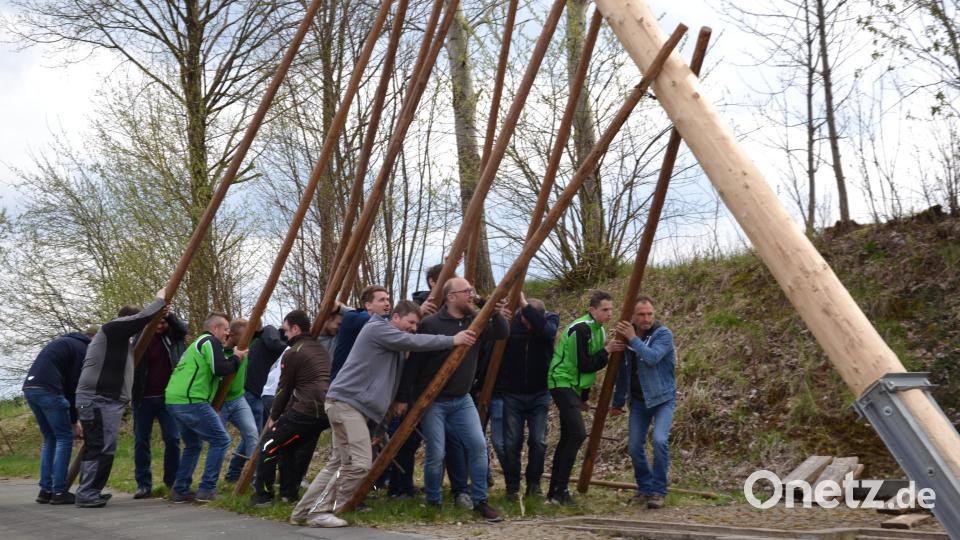 Mit viel „Hau-ruck“ und Muskelkraft wurde der 25 m hohe Maibaum in Gebhardsreuth von der Feuerwehr Gröbenstädt und dem Schützenverein Gebhardsreuth sowie mit Freunden in die Höhe gehievt und in die Senkrechte gebracht. Bild: gi