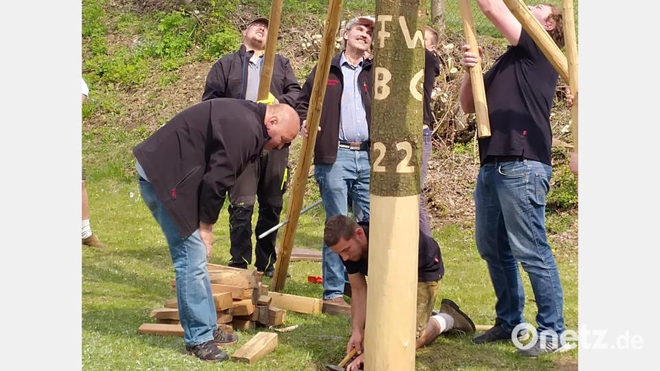 Maibaum in Tännesberg. Bild: rfi