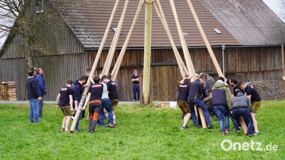 Maibaumaufstellen in Oberbernrieth - die starken Männer der Feuerwehr Bernrieth legen sich mächtig ins Zeug Bild: fvo