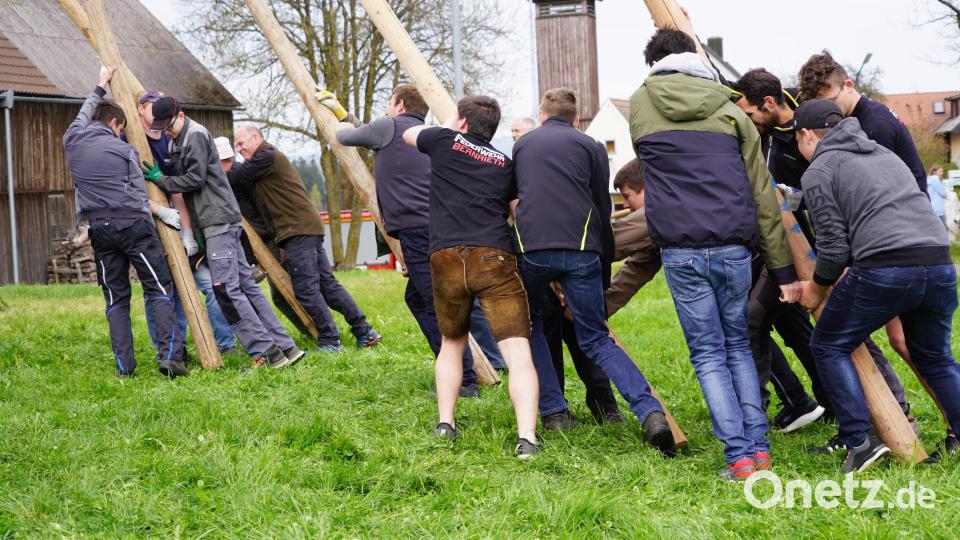 Maibaumaufstellen in Oberbernrieth - die starken Männer der Feuerwehr Bernrieth legen sich mächtig ins Zeug Bild: fvo