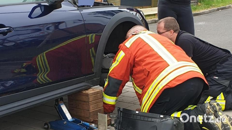 Die Feuerwehr Kemnath rettete aus der Motorhaube eines Autos ein kleines Kätzchen. Bild: Feuerwehr Kemnath/exb