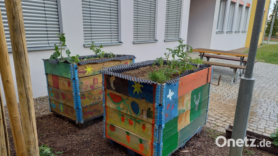 Wahre Kunstwerke wurden aus dem Hochbeeten. Bild: sl
