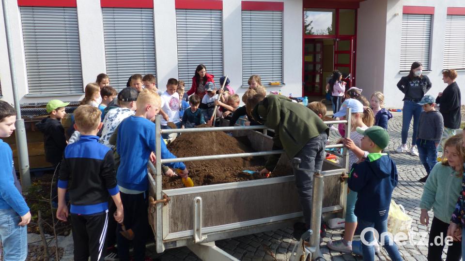 Der Pflanzende wurde vom Anhänger geholt um die Beete zu befallen. Bild: sl