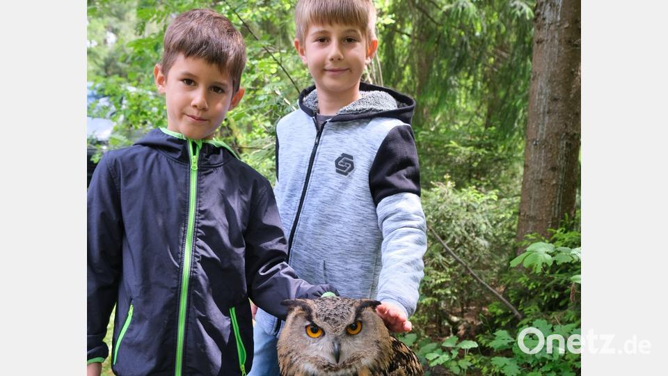 Geduldig ließ sich der Uhu von Hans Weiß aus der Kümmersbucher Auffangstation von den Kindern streicheln. Bild: usc
