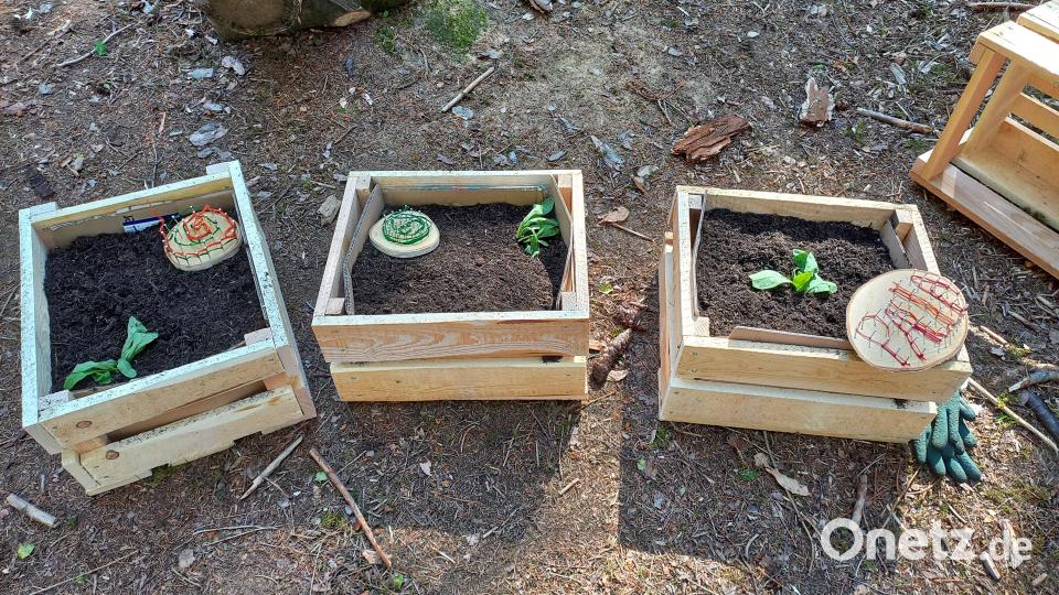 Selbstbewusst musterten die Kinder am Ende ihr eigenhändig geschreinertes und bepflanztes Beet und waren übereinstimmend der Meinung: Nicht nur Papas können mit einem Akkuschrauber umgehen. Bild: Christa Vogl