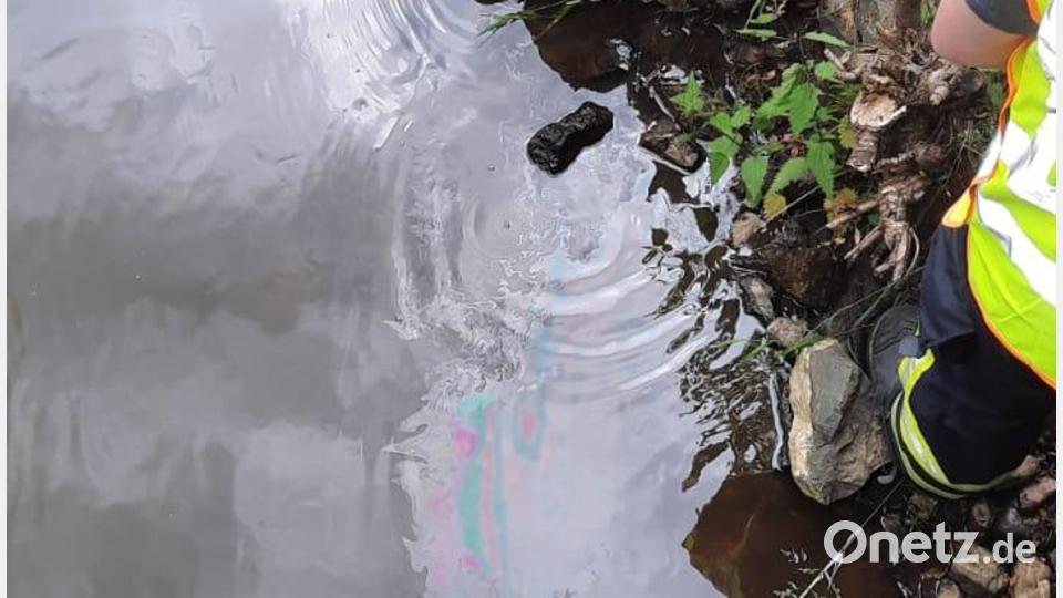 Im Mühlbach in Tirschenreuth wurde ein Ölfilm entdeckt. Bild: Fritz Leicht/exb