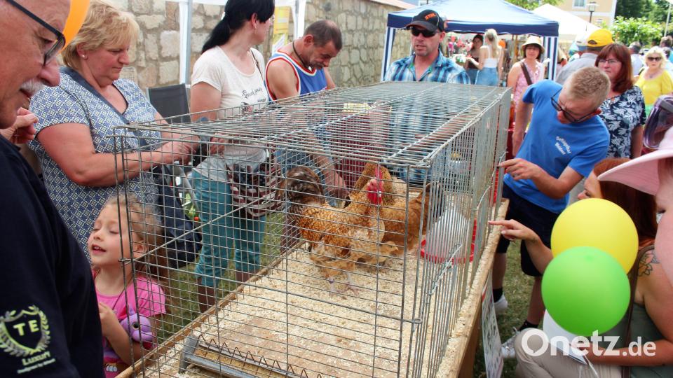 Ein Bauernmarkt ohne Tiere ist nicht vorstellbar. Bild: stg