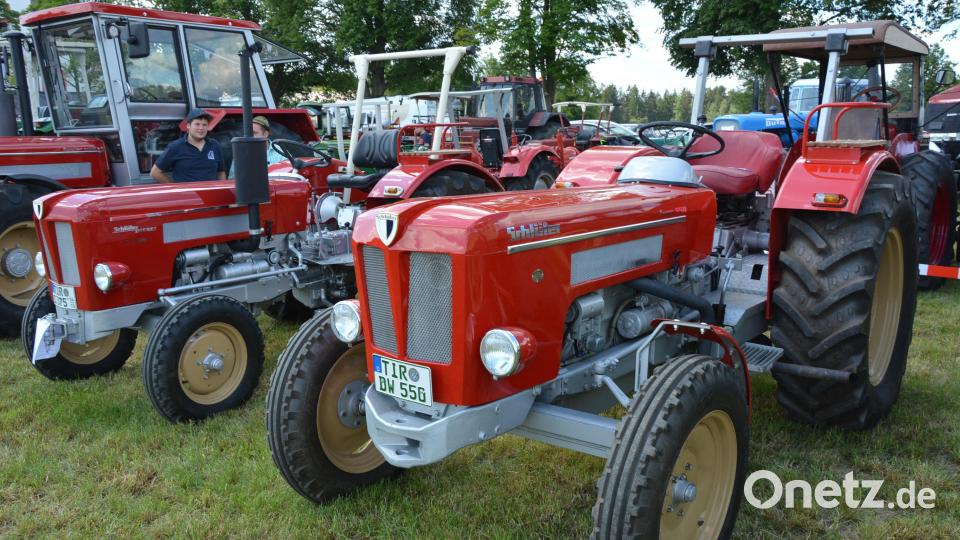 Zwei sogenannte „Freisinger Bären“ aus den Jahren 1965 und 1968. Bild: jr