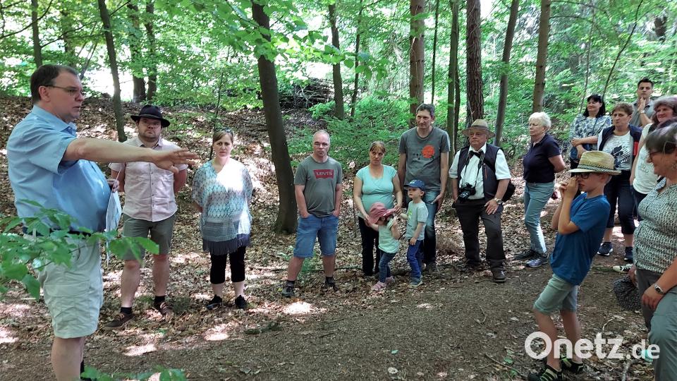 Auf die Spuren des historischen Goldabbaus wie kreisrunde Trichtergruben, Gräben und Halden richtete Gerhard Lehrberger beim Rundwanderweg im Güttingwald das Augenmerk der interessierten Teilnehmer. Bild: lg