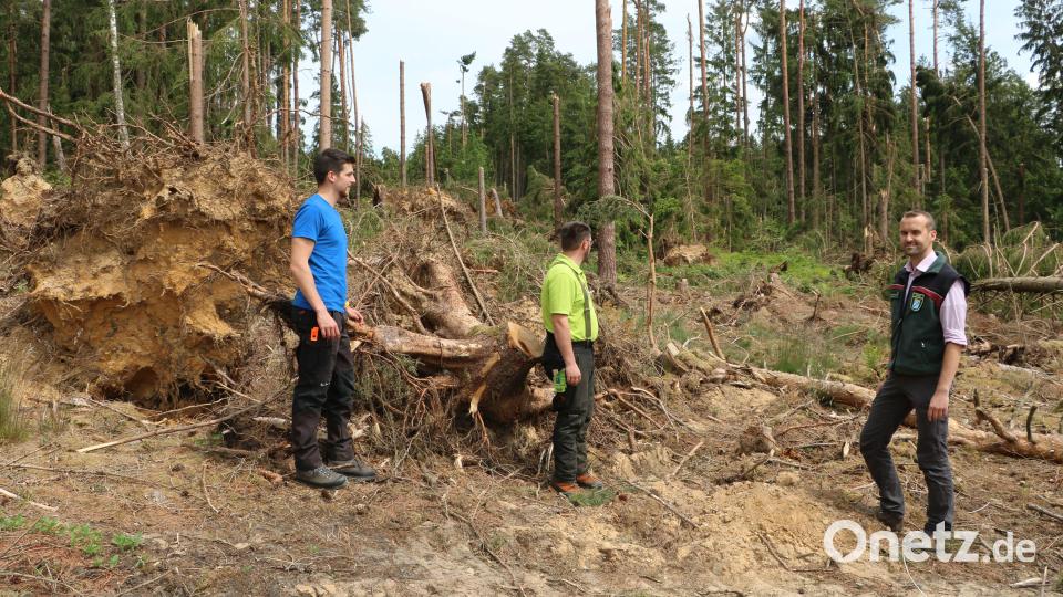 An dieser Stelle im Wald bei Edelsfeld hat &quot;Emmerlinde&quot; starke Schäden hinterlassen. Vor den Gefahren bei der Aufarbeitung von Sturmholz warnen Johann Renner, Sven Grünert und David Karl. Bild: gru