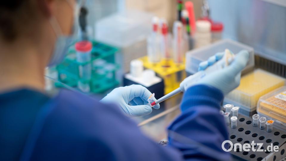 Im Landkreis Tirschenreuth gab es innerhalb einer Woche 331 positive Coronatests. Symbolbild: Daniel Reinhardt/dpa