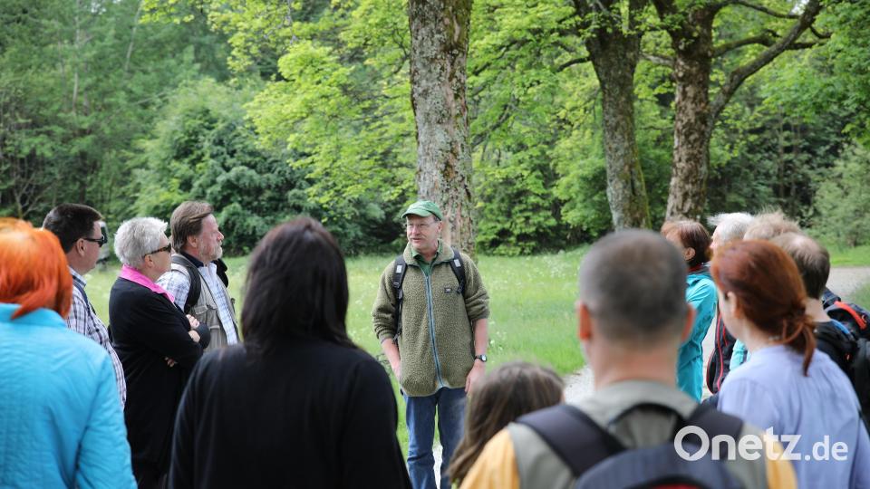 Revierförster Wolfgang Schödel (Bildmitte) führt bei seiner „rauen Steinwald“-Wanderung zum Palmloh-Moor und diversen Felsen im Steinwald. Bild: Steinwald-Allianz/exb
