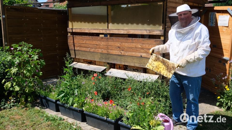 Ein Praktiker bei seinen Honigbienen. Im Gartenbereich am Lohweg ist die Imkerei von Martin Kämpf ebenso zu beobachten wie die liebevolle Garten- und Blumenpflege von Marlene, Maria und Josef Kämpf. Bild: do