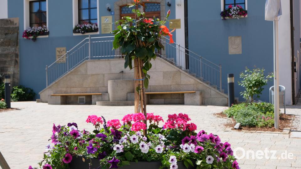 Grünende und blühende Oasen erwarten die Besucher beim Tag der offenen Gartentür auf Landkreisebene in Eschenbach. Auch das Rathausumfeld zeigt sich in voller Blüte. Bild: do