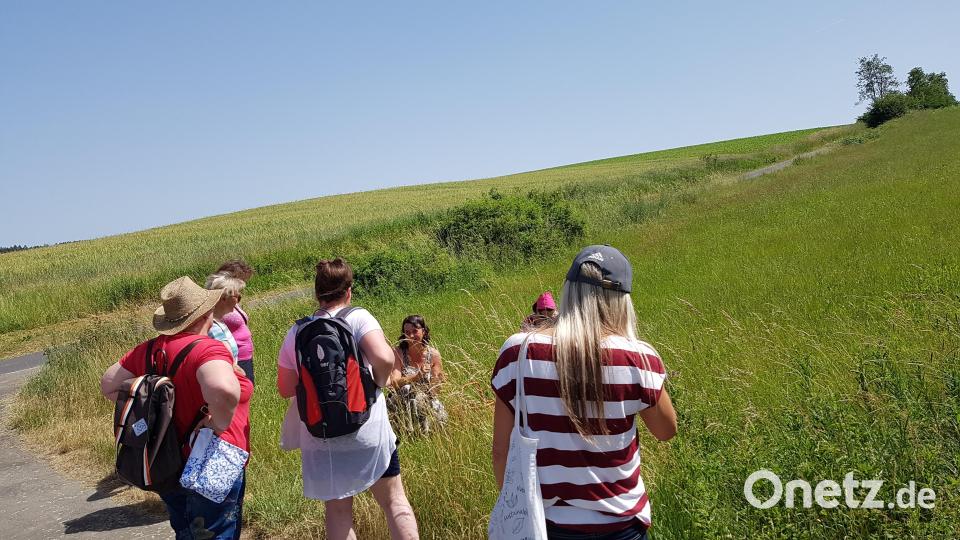 Die Kursteilnehmer sammelten Heilpflanzen unter fachkundiger Anleitung von Expertin Regina Herrmann (sitzend, Dritte von links). Bild: ban