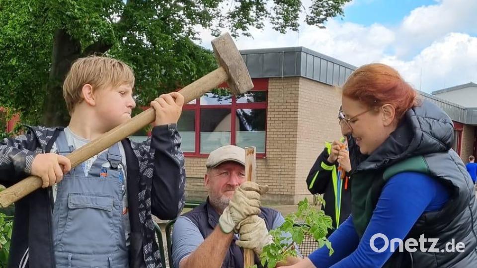 Karo Wenisch (rechts im Bild) und Klaus Schuster (Mitte) bei der gemeinsamen Heckenpflanzaktion mit den Realschülern. Bild: Umweltstation Waldsassen/exb