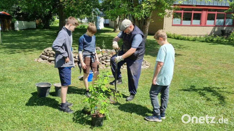 Mit Spezialwerkzeug und Muskelkraft zeigt Klaus Schuster vom Obst- und Gartenbauverein (Zweiter von rechts) den Schülern die richtige Technik zum Pflanzen der Sträucher. Bild: Umweltstation Waldsassen/exb