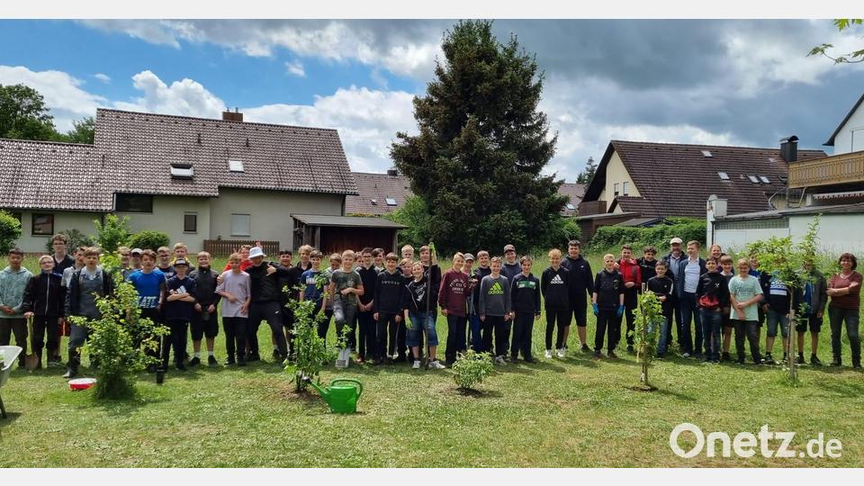 Gemeinsam mit der Umweltstation Waldsassen und dem Obst- und Gartenbauverein erschaffen die siebten Klassen eine knapp 30 Meter lange Hecke auf ihrem Schulholf. Bild: Umweltstation Waldsassen/exb