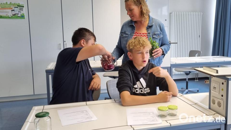 &quot;Hecken-Smoothies&quot; selber machen - Heilpraktikerin und Kräuterführerin Manuela Schön zeigt im Chemiesaal, wie es lecker schmeckt. Bild: Umweltstation Waldsassen/exb