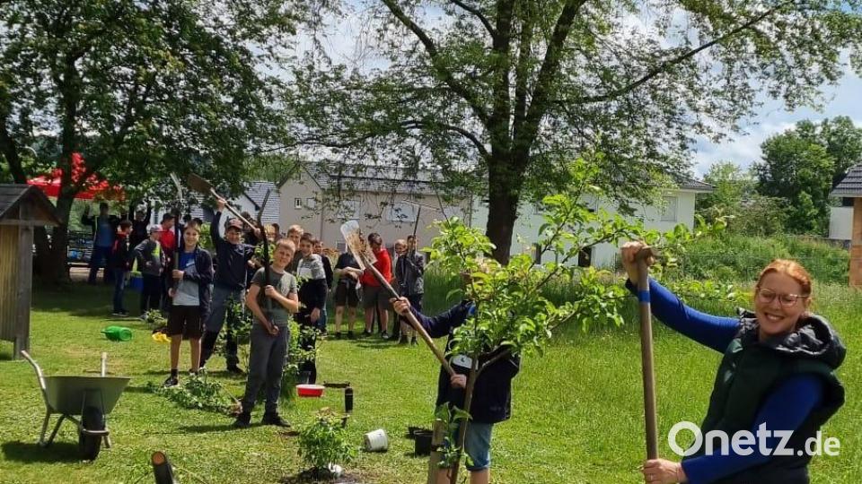 Alle packen fleißig mit an - über 20 Sträucher auf einer Länge von mehr als 30 Metern pflanzen die Realschüler der siebten Klassen in ihrem Schulhof. Bild: Umweltstation Waldsassen/exb