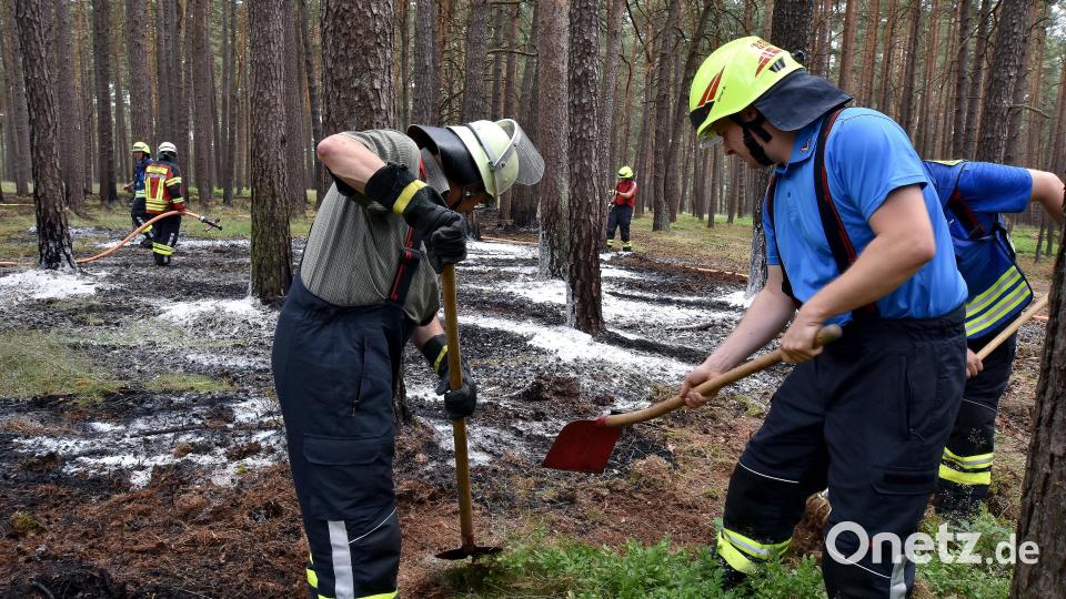 Zum zweiten Mal innerhalb 24 Stunden müssen die Feuerwehren einen Brand in einem Wald Auf der Ruite bekämpfen. Bild: tne