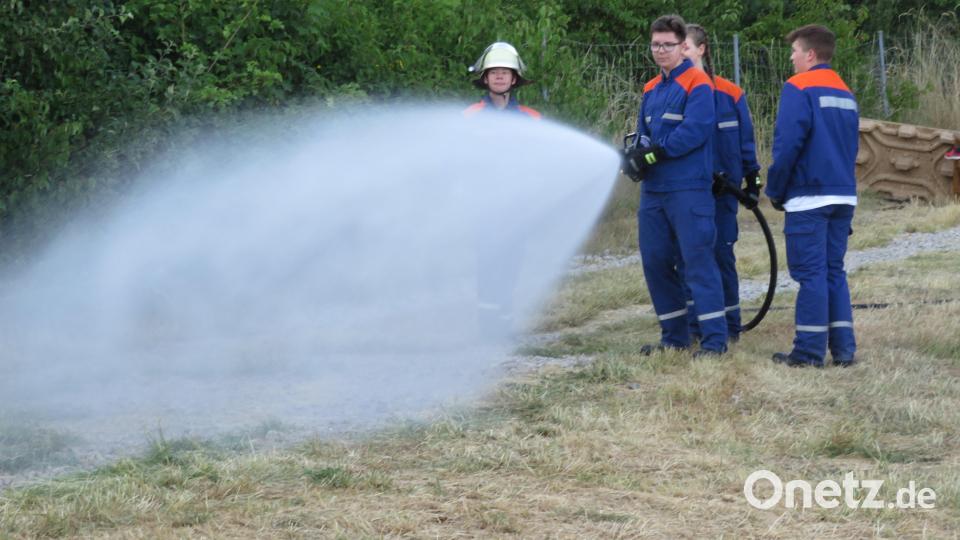 Das letzte mal fand das Johannisfeuer auf der Wiese an der Windischeschenbacherstraße satt. Die Jugendfeuerwehr sorgte vorbeugend für Sicherheit. Bild: adj