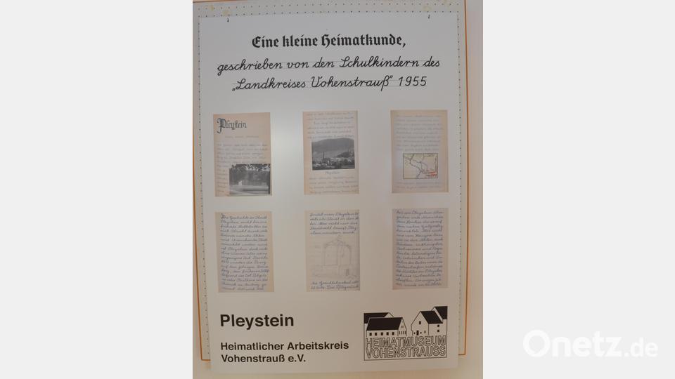 Kunstvoll gestaltet sind die Seiten aus der Rosenquarzstadt Pleystein. Bild: dob