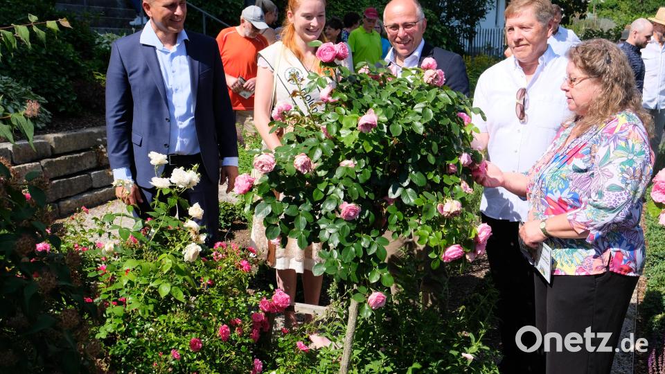 Nach der offiziellen Eröffnung begaben sich die Organisatoren Bürgermeister Marcus Gradl, Hollunder-Königin Monika I., OGV-Kreisvorsitzender und Landrat-Stellvertreter Albert Nickl, "Fest-Macher" Josef Höllerl und stellvertretende Bezirksvorsitzende Rosa Prell (von links) auf eine Besichtigungstour zu den 13 Teilnehmern. Bild: do