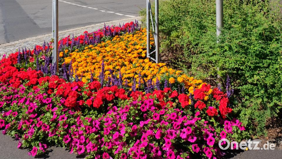 Auch die Stadt präsentierte sich in einem bunten Blutenkleid. Bild: do