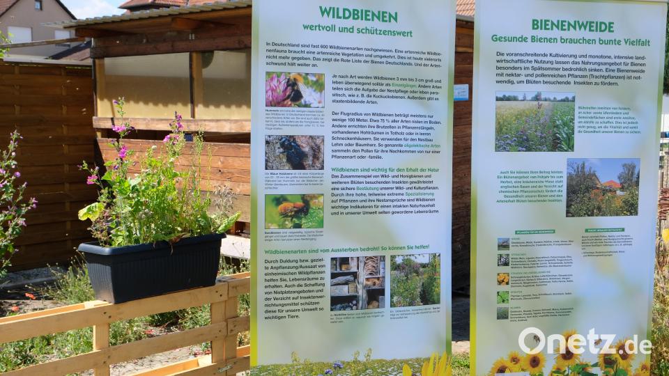 Bienenschutz und Gartenpflege im Gleichklang. Der Imkerverein informierte über die große Bedeutung der Bienen und präsentierte sich mit einem Honig-Verkaufsstand. Bild: do