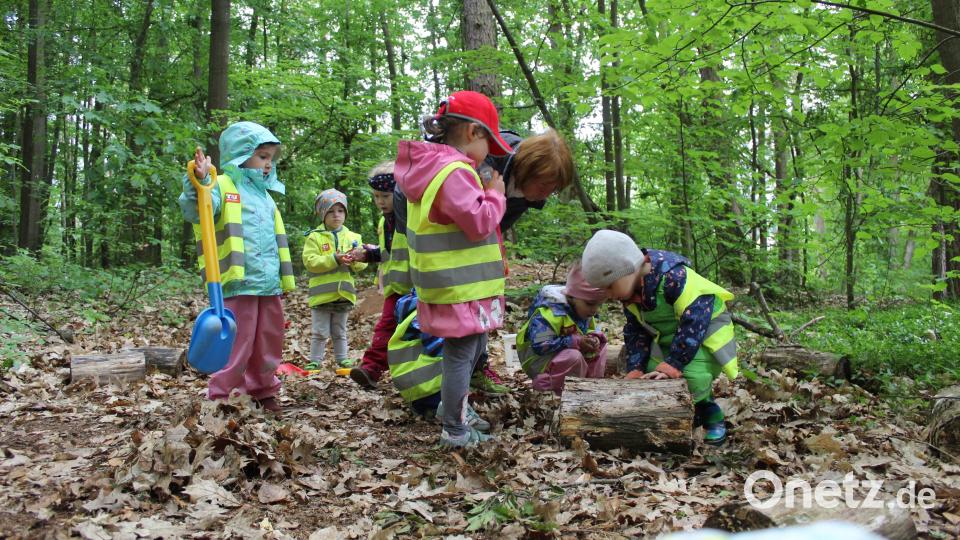 Allerhand zu entdecken gibt es für die Kinder des St.-Wolfgang-Kindergartens während ihrer Waldwoche, die sie in ihrem Waldquartier am Kalvarienberg verbrachten. Bild: u