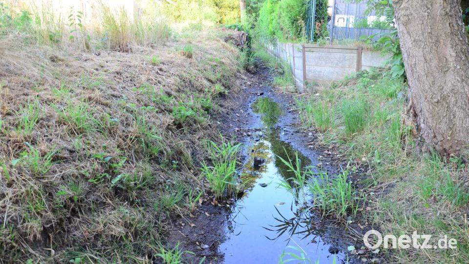 Der Rehmühlbach versickert. Bild: Kunz