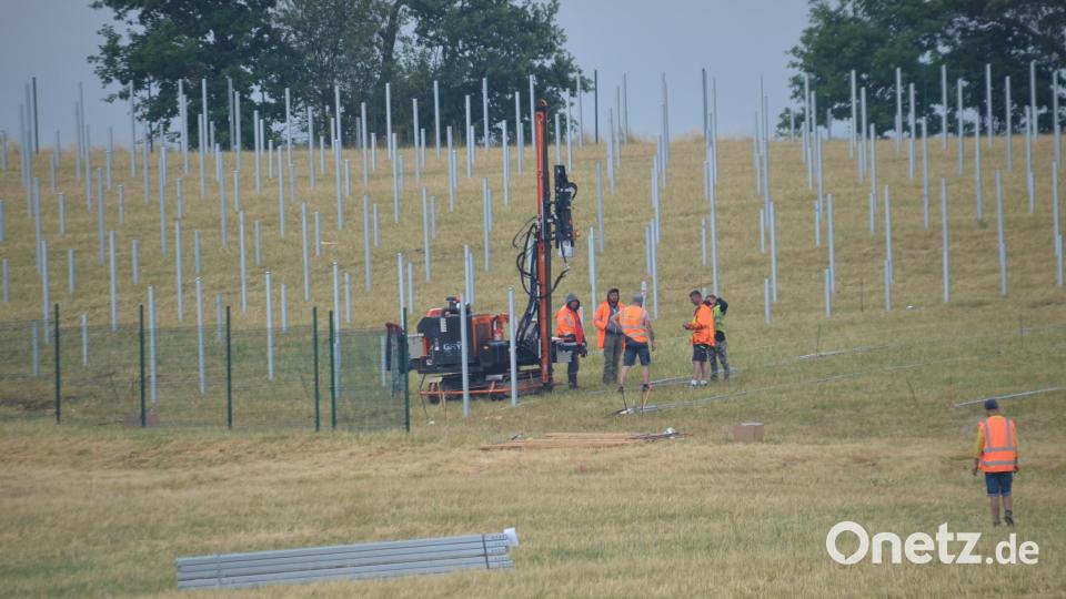 Unzählige Trägerposten, auf denen einmal die Solarmodule montierten werden, sind bereits in die Erde gerammt worden. Bild: ak