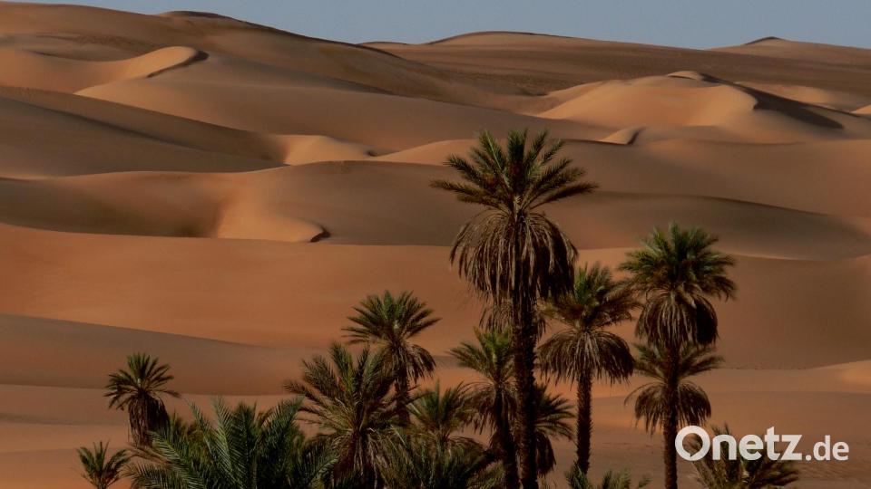Fotoclubmitglied Johann Albrecht ist von der Sahara begeistert. Nur 20 Prozent der Fläche der Sahara ist mit Dünen bedeckt. Der Rest ist eine Ebene mit Kies und Geröll. Bild: exb/Johann Albrecht