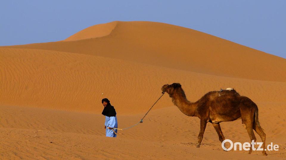 Fotoclubmitglied Johann Albrecht ist von der Sahara begeistert. Hier ist ein Tuareg ist mit seinem Kamel unterwegs. Bild: exb/Johann Albrecht